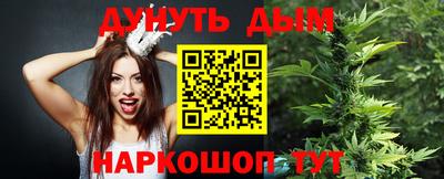 прущие грибы Краснодар