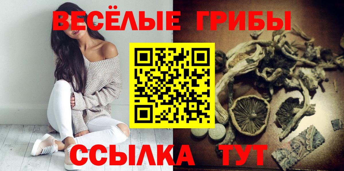 Псилоцибиновые грибы прущие грибы Электрогорск