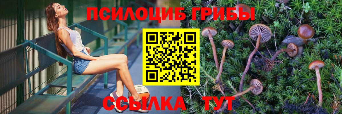 сколько стоит  Псилоцибиновые грибы MAGIC MUSHROOMS  Вход с VPN  Электрогорск  Галлюциногенные грибы MAGIC MUSHROOMS 